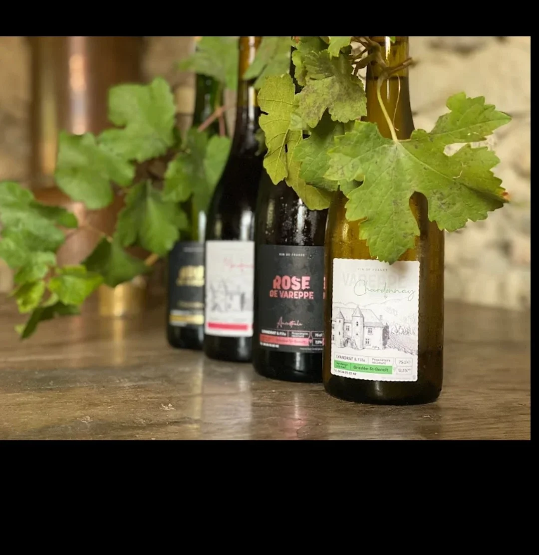 Vin de producteur Château de VAREPPE